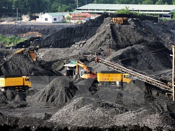 Restructuring coal industry for more effectiveness - ảnh 1